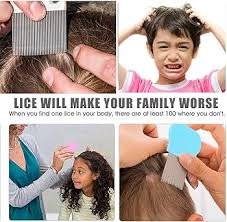 lice comb